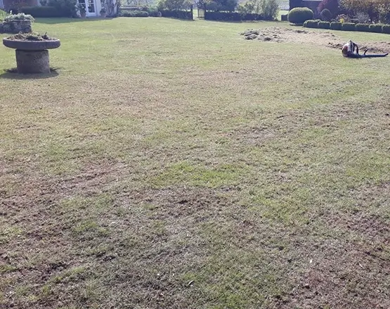 lawn-master-lawn-care-during