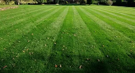 Lawn-Master-Standard-Treatment-Programme-Autumn