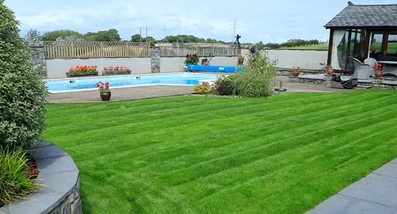 Lawn-Master-Standard-Treatment-Programme-Early-Summer