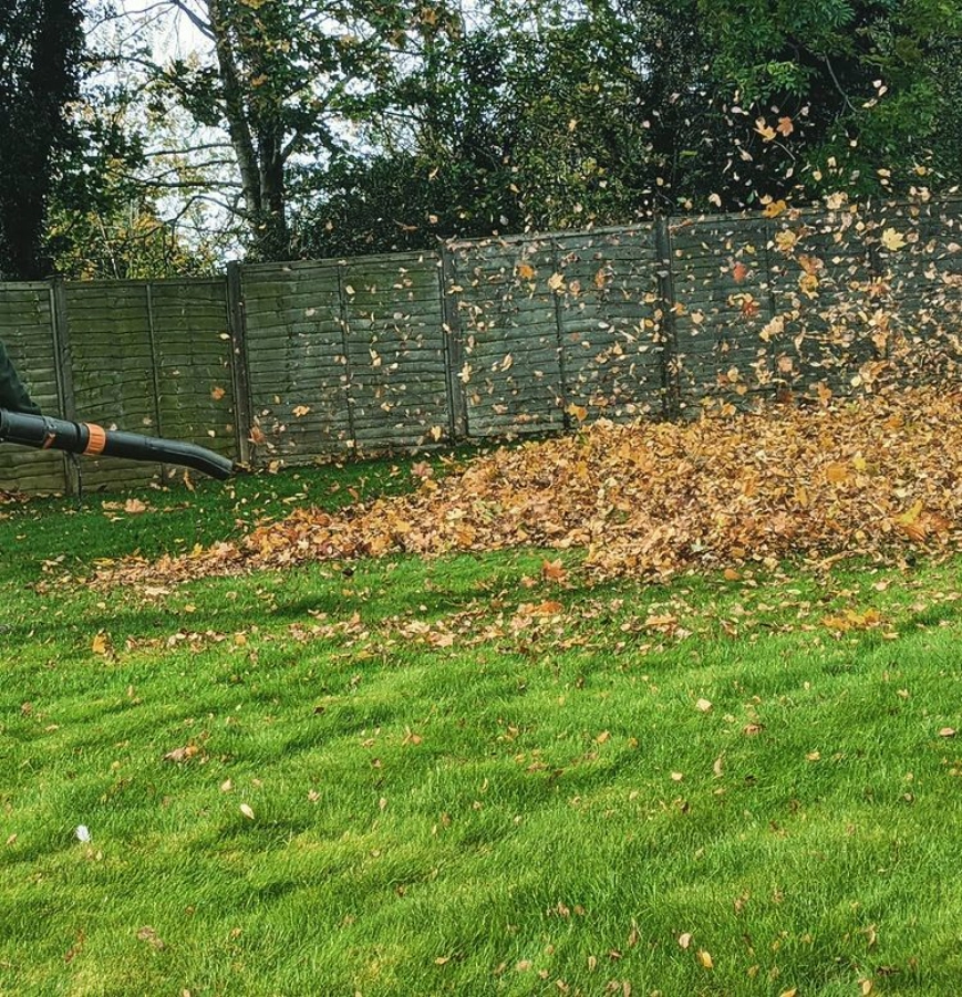 Blowing leaves