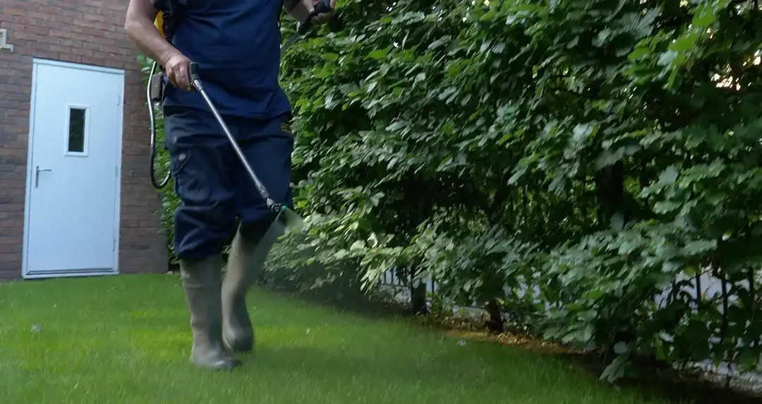 Liquid fertiliser spraying on lawn