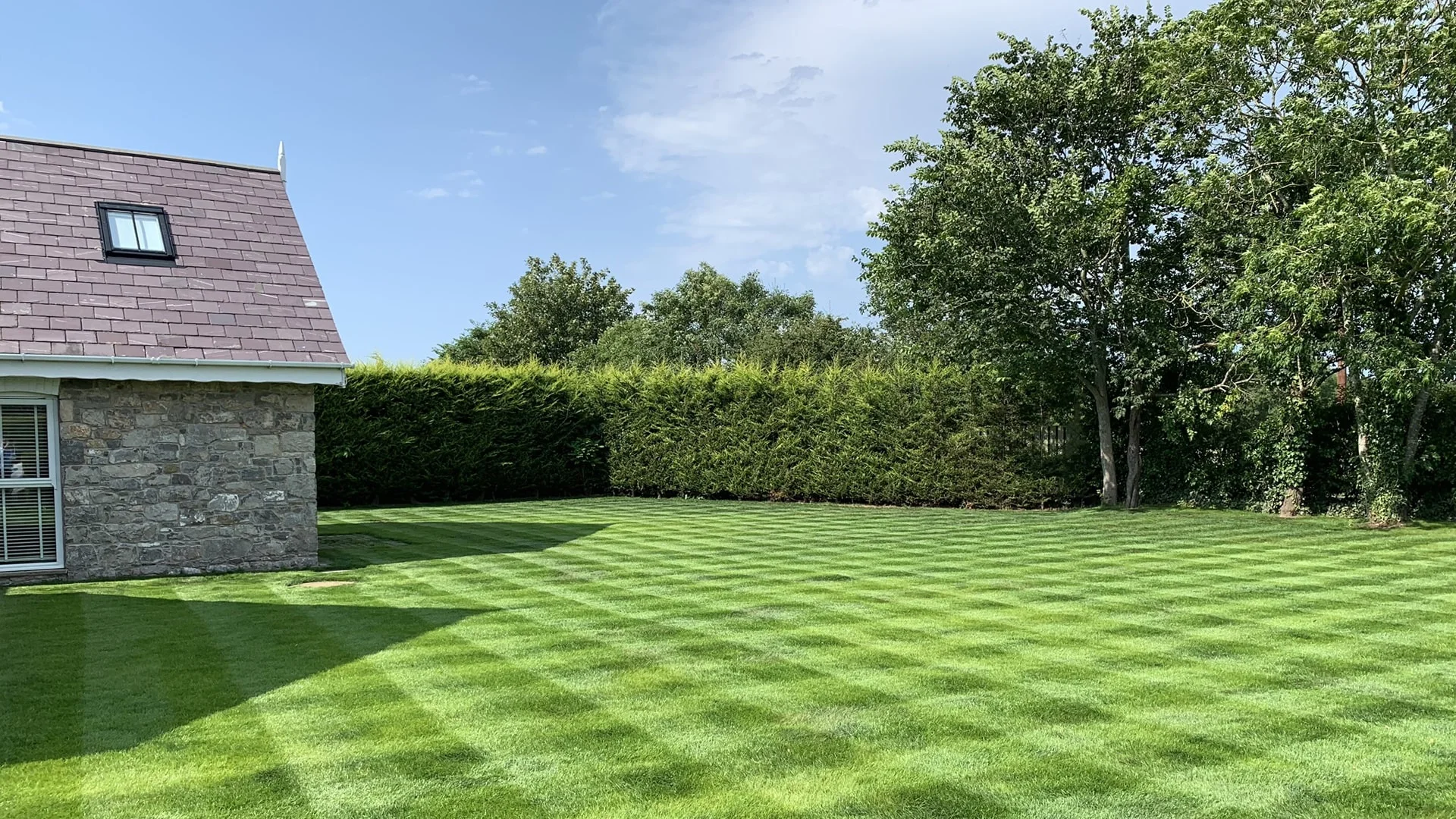 lawn-master-real-grass-vs-artificial-grass