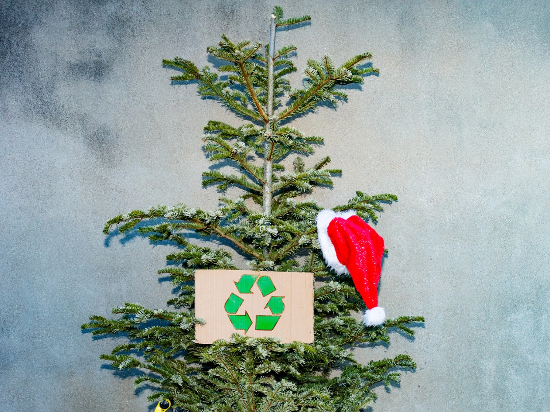 Recycling Christmas tree