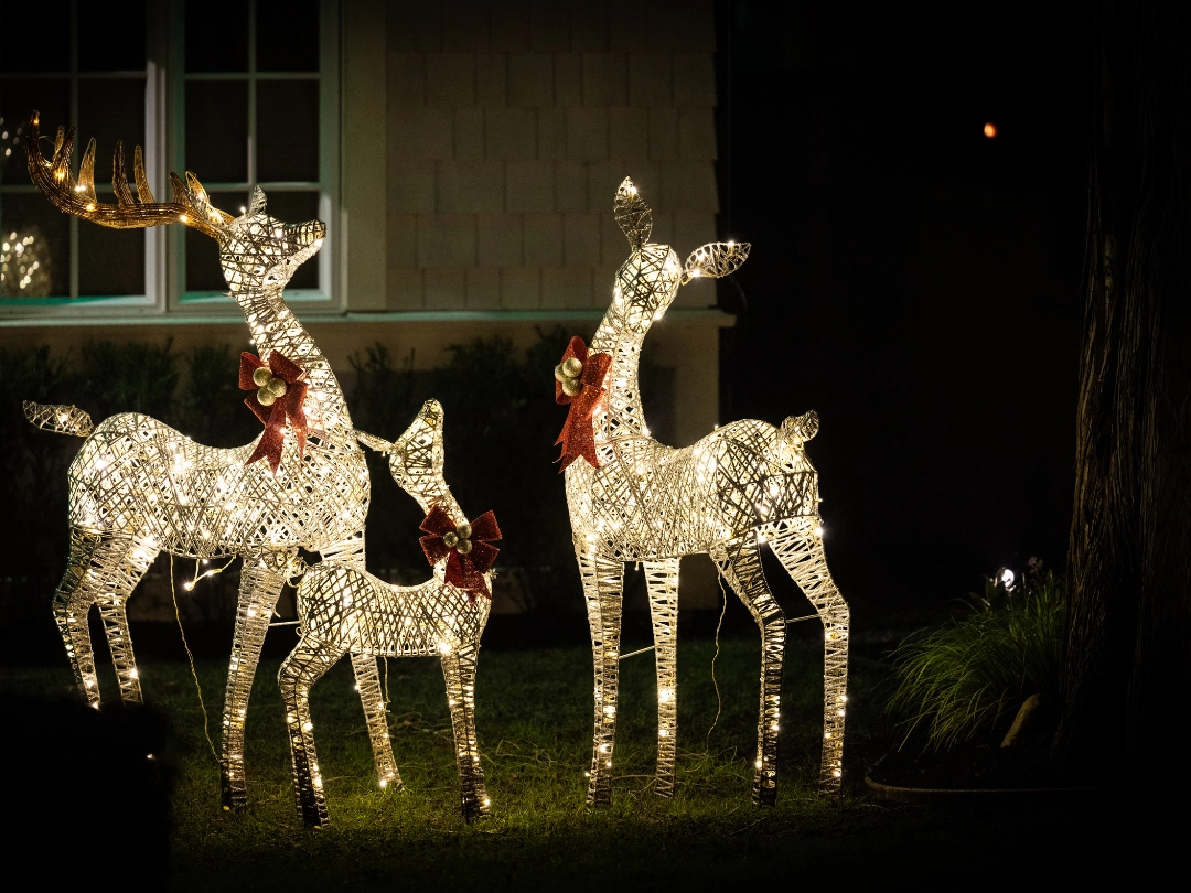 Reindeer Christmas decorations on lawn