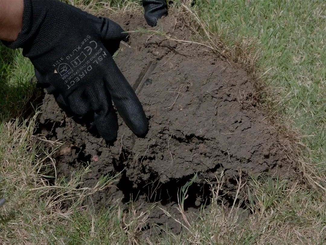 Inspecting soil