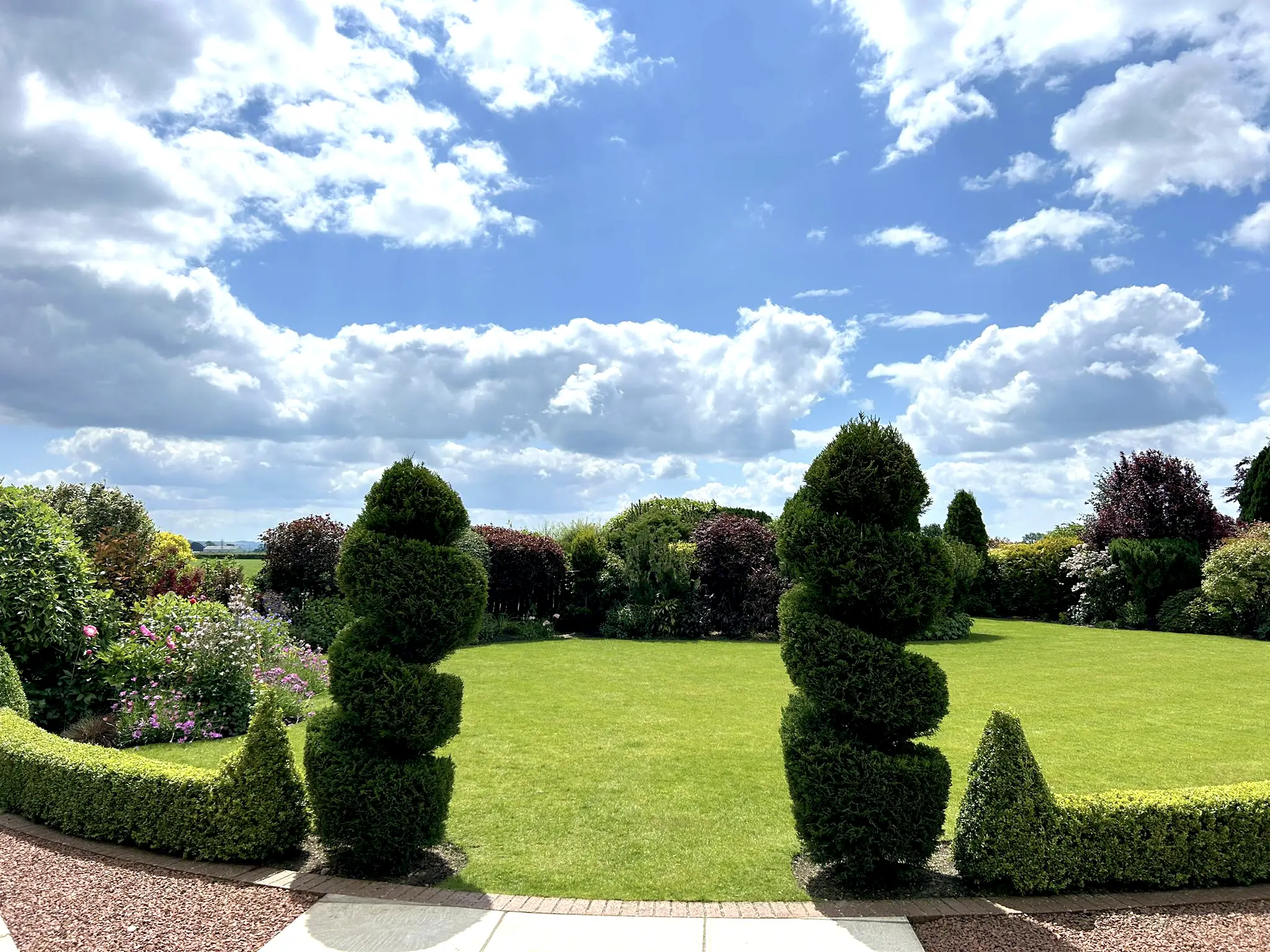 summer garden with flowers and trees