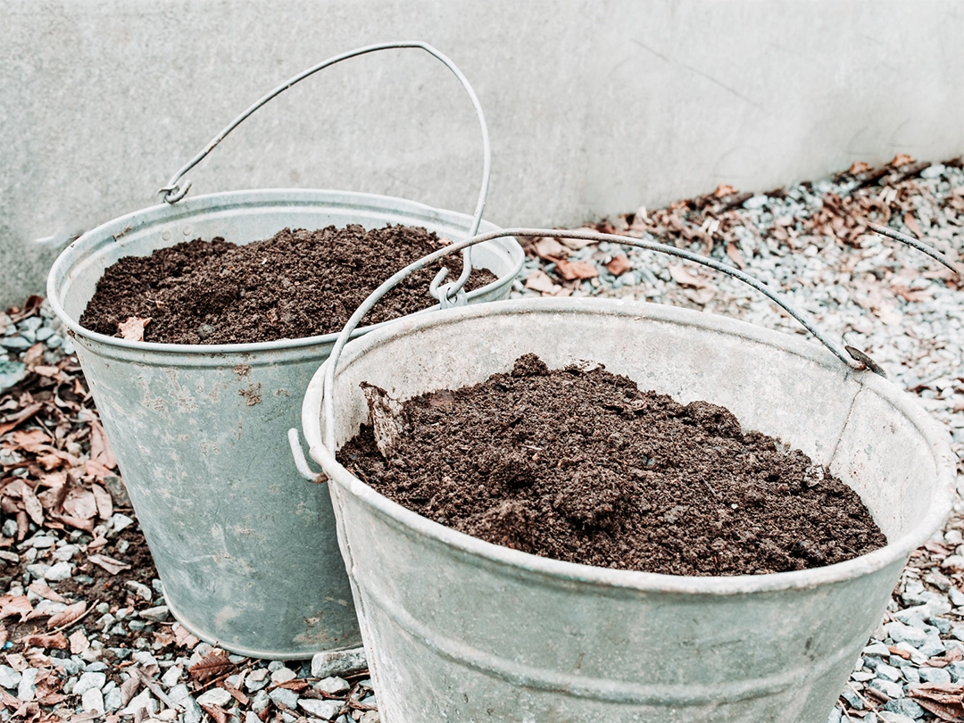 Metal water bucket filled with soil