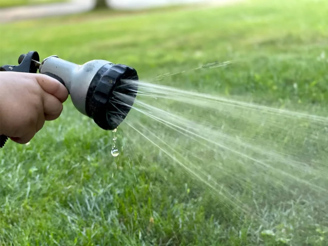 how-to-water-your-lawn
