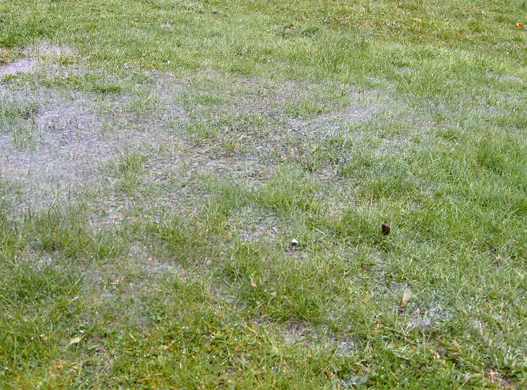 Waterlogged garden