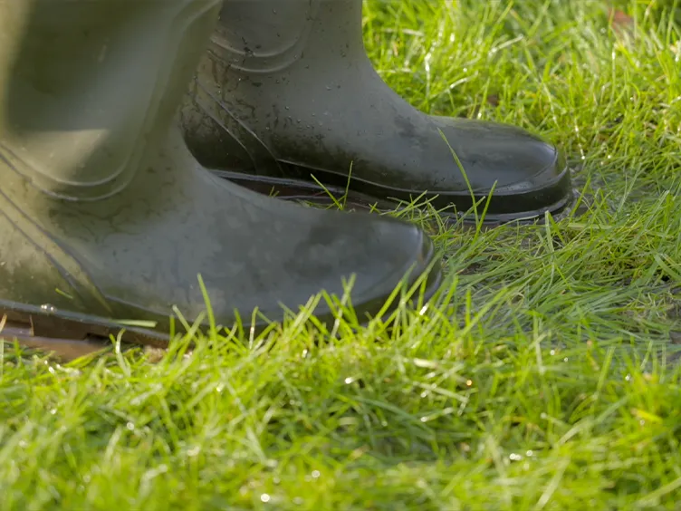 Wellies on we lawn