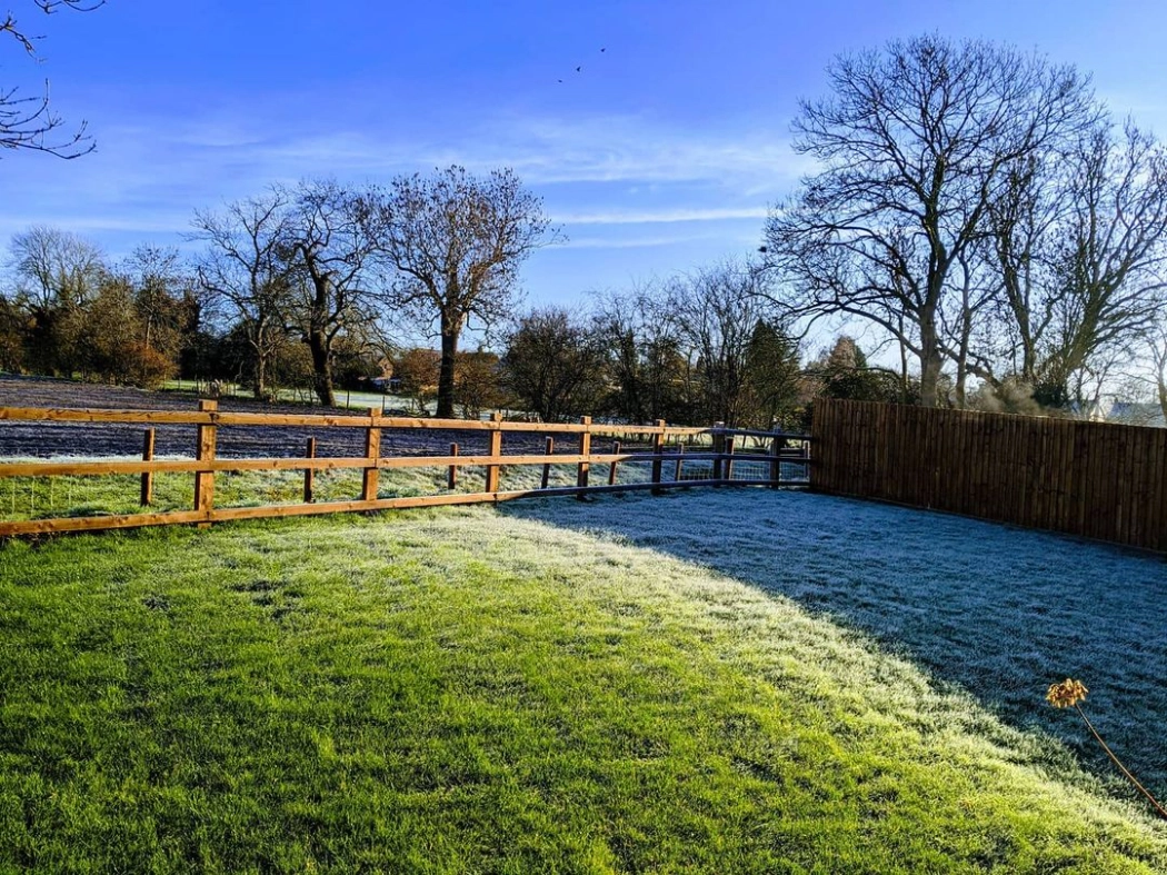 Winter lawn