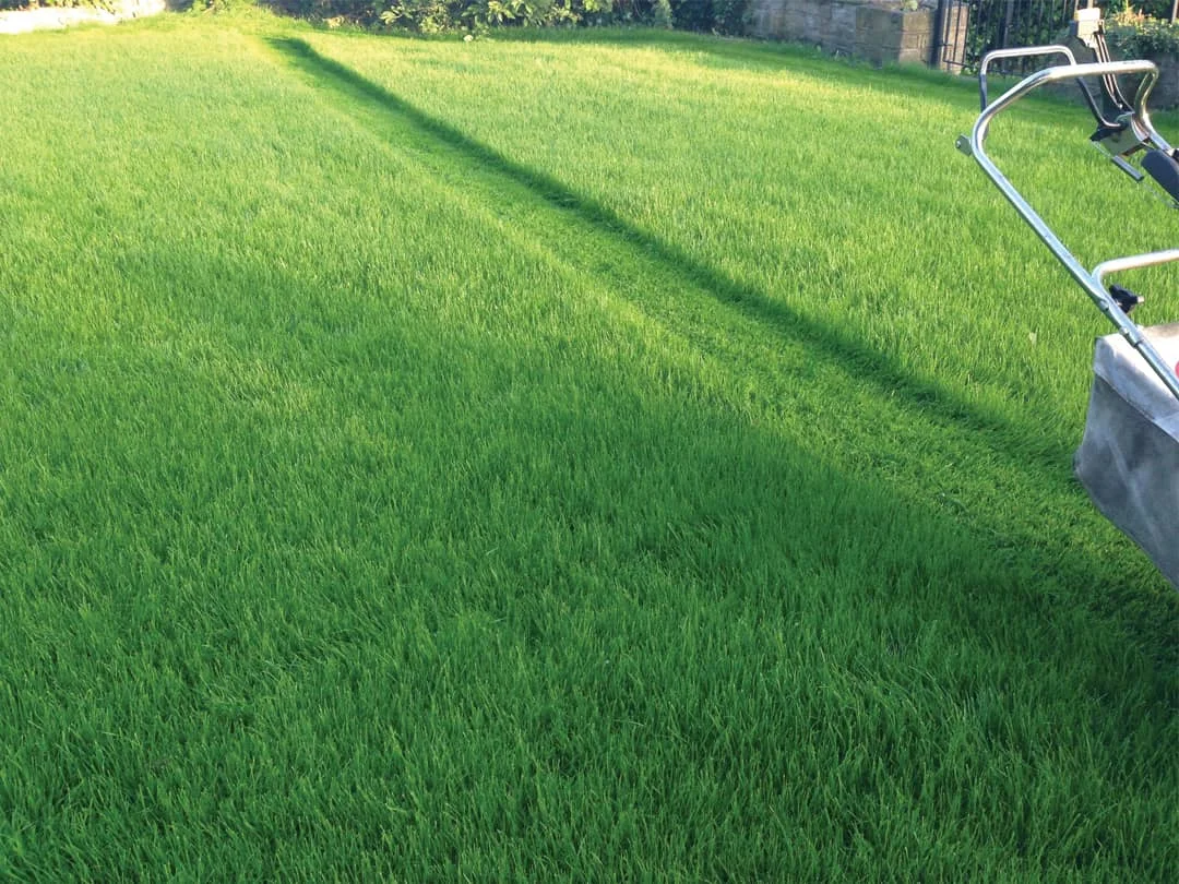 mowing-your-lawn-tips