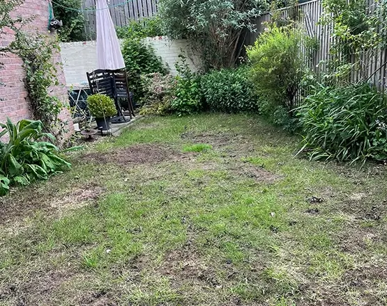 lawn-master-lawn-care-during