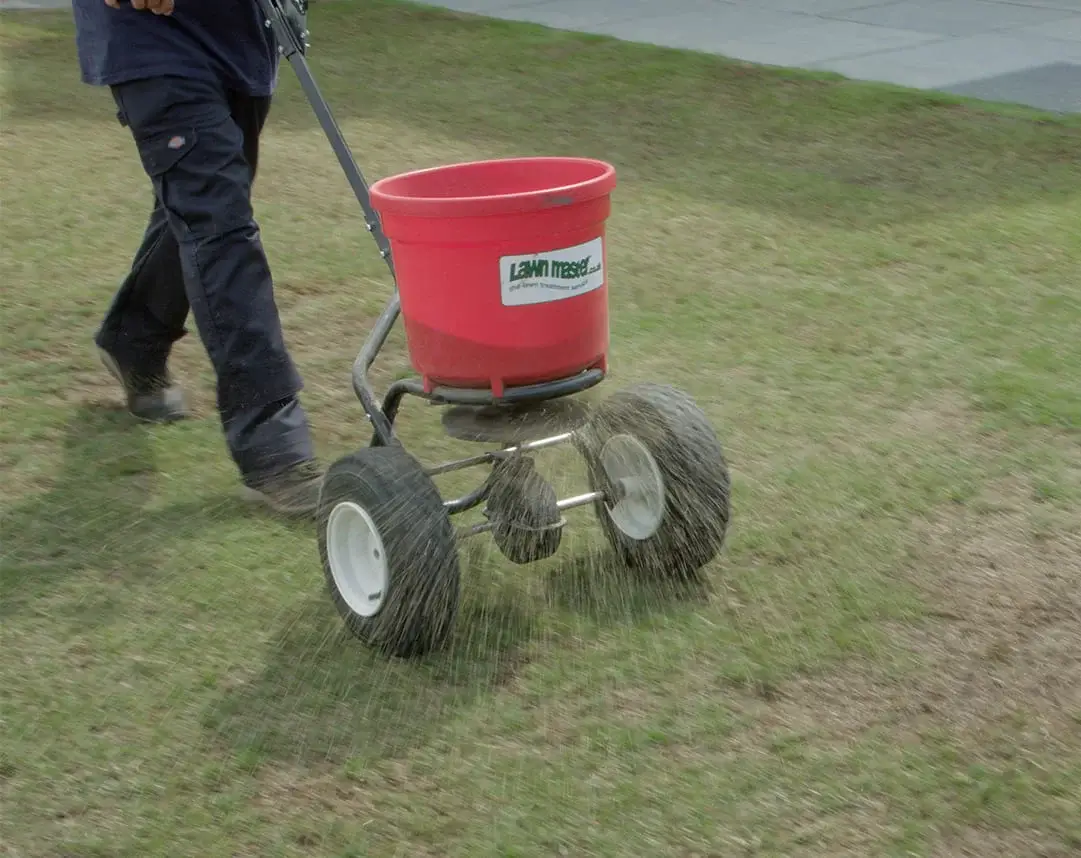 Lawn Master Over-seeding